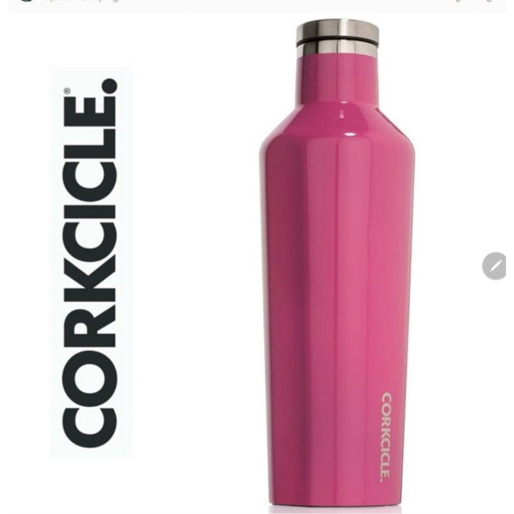 NWOT Corkcicle 16oz Pink